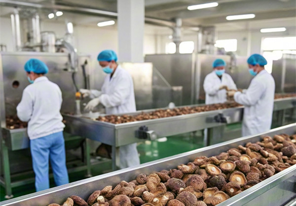 香菇多糖提取设备.jpg 香菇多糖提取设备.jpg