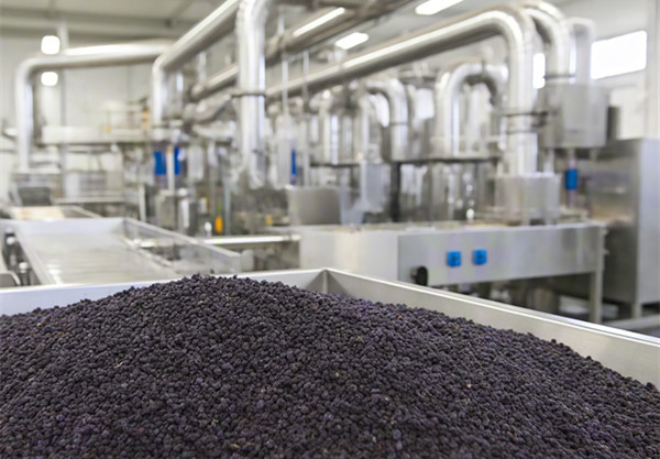 葡萄籽花青素提取生产线.jpg