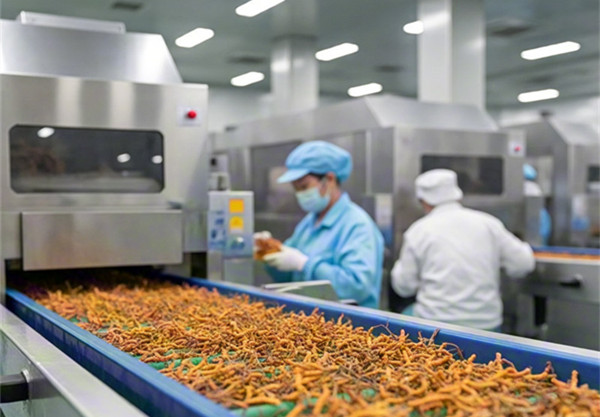 多糖提取生产线.jpg 多糖提取生产线.jpg