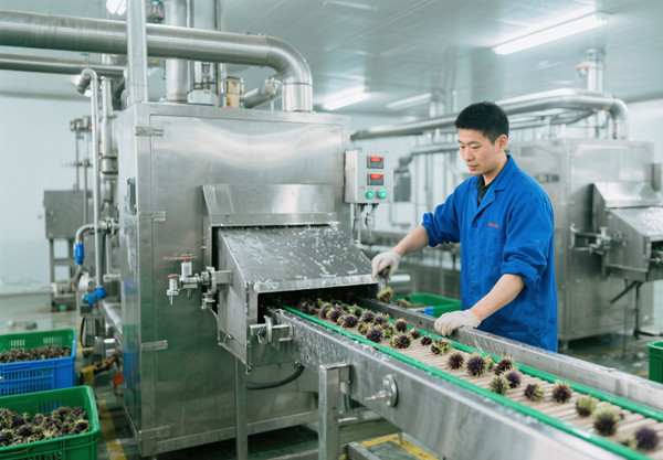 水飞蓟提取设备.jpg 水飞蓟提取设备.jpg