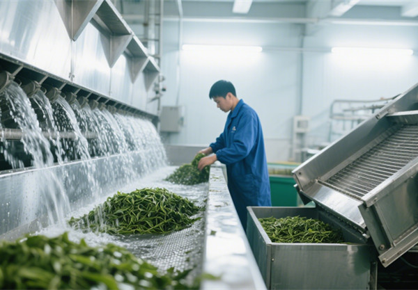 茶多酚提取设备.jpg 茶多酚提取设备.jpg