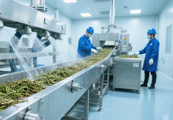 松油提取设备.jpg 松油提取设备.jpg