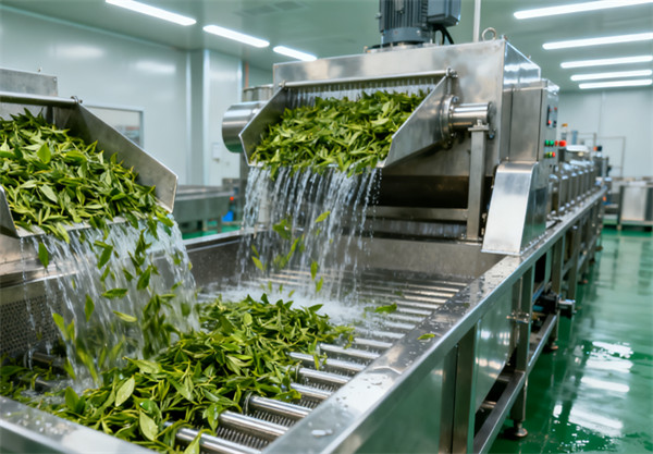 速溶茶粉生产线.jpg 速溶茶粉生产线.jpg