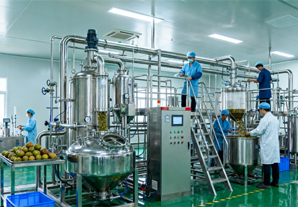 罗汉果甜苷提取生产线.jpg 罗汉果甜苷提取生产线.jpg