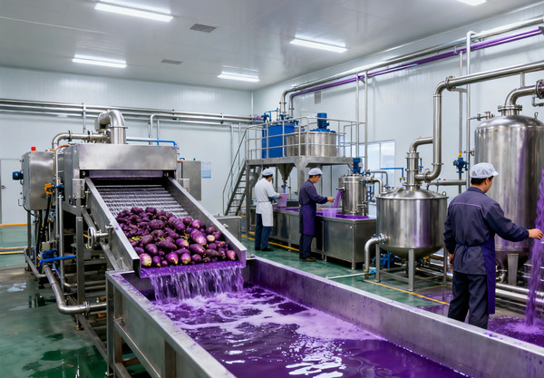 紫萝卜提取色素生产线.jpg