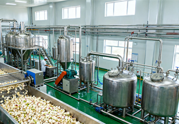 百合提取生产线.jpg 百合提取生产线.jpg