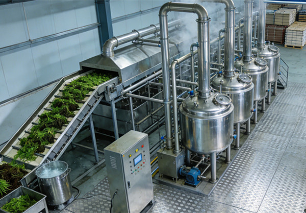 仙草生产线图片 (1)_副本.jpg