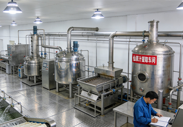 仙草生成生产线图片 (2)_副本.jpg